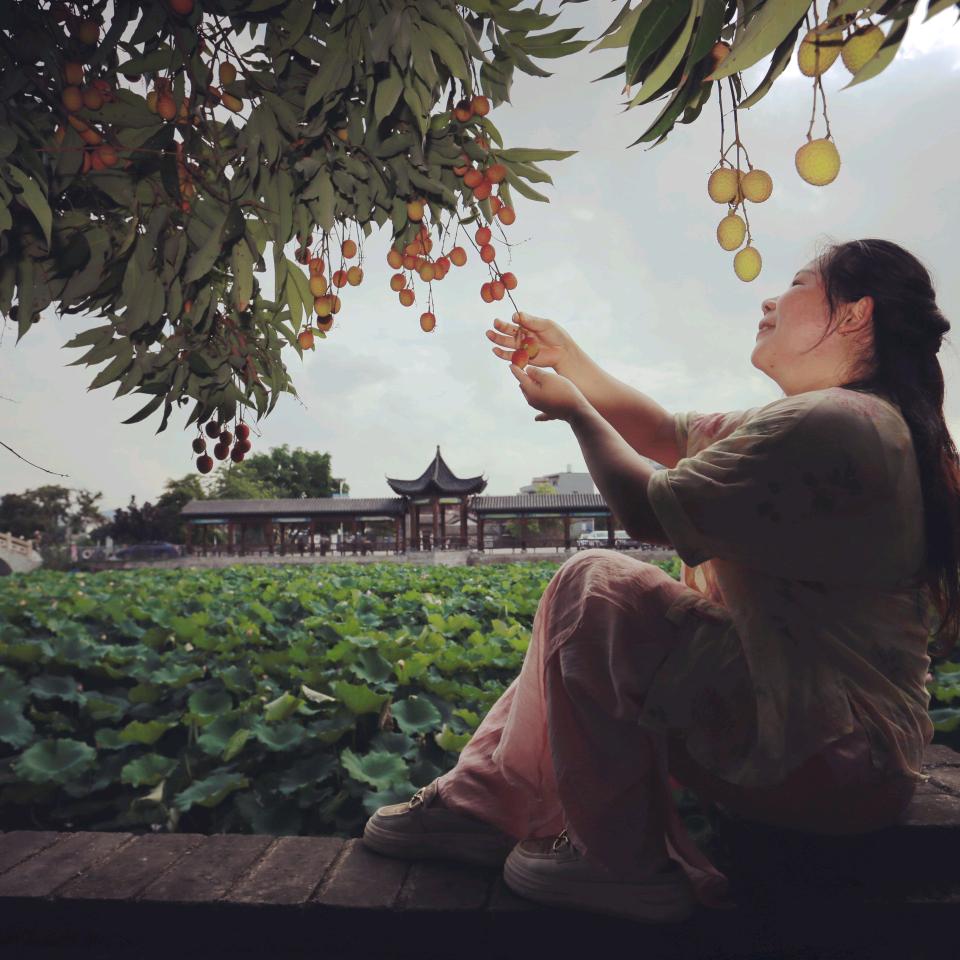 莹火虫，慢慢飞