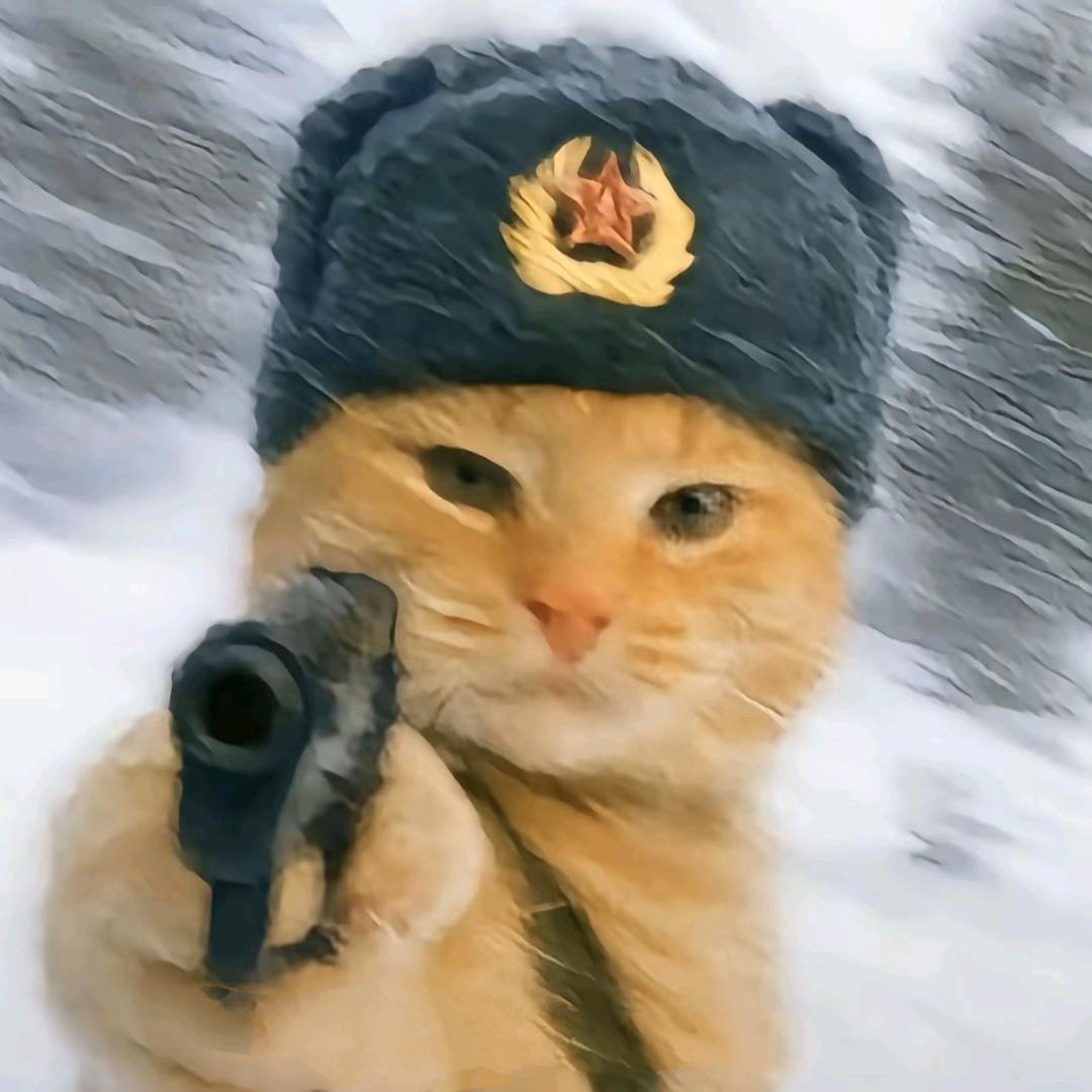 K～🐱