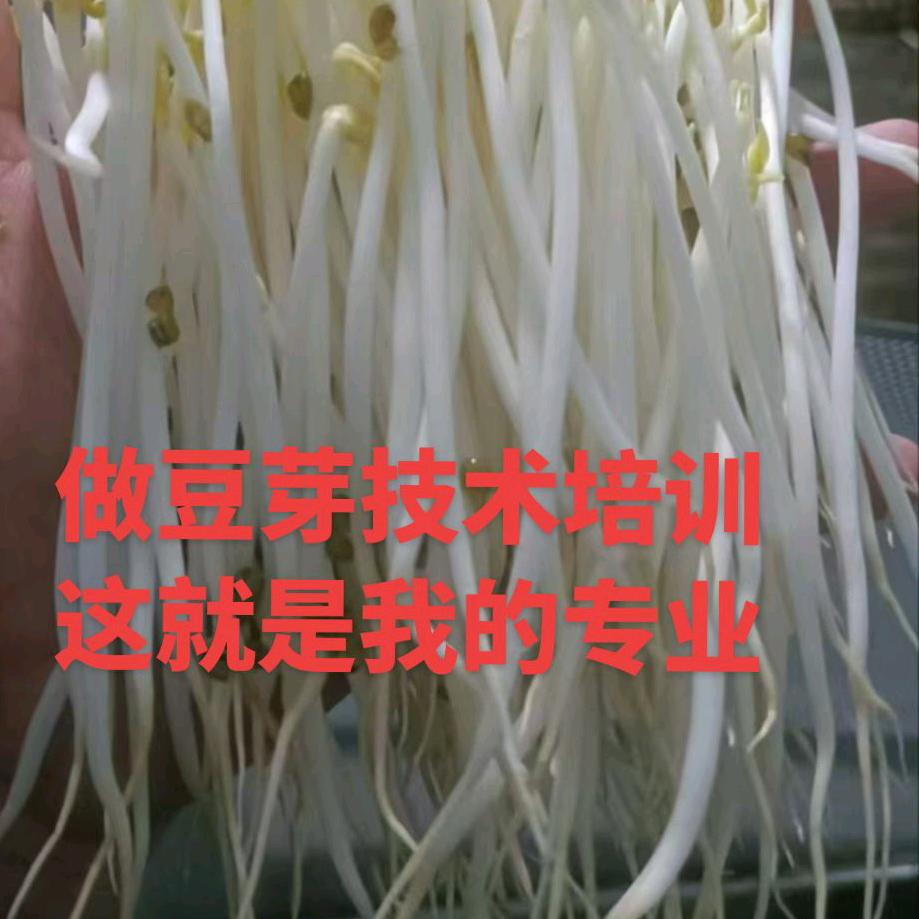 投师问路