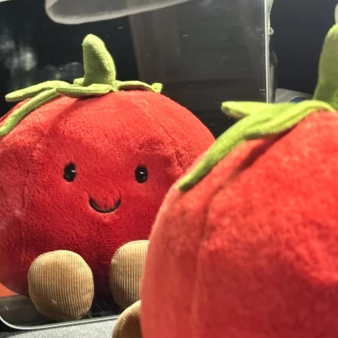 烂番茄🍅
