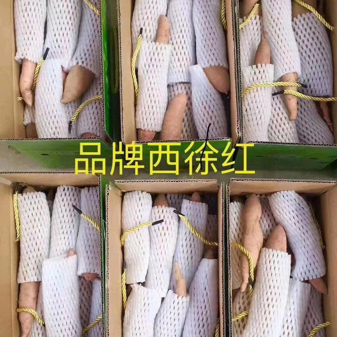 正宗西徐老济南红薯