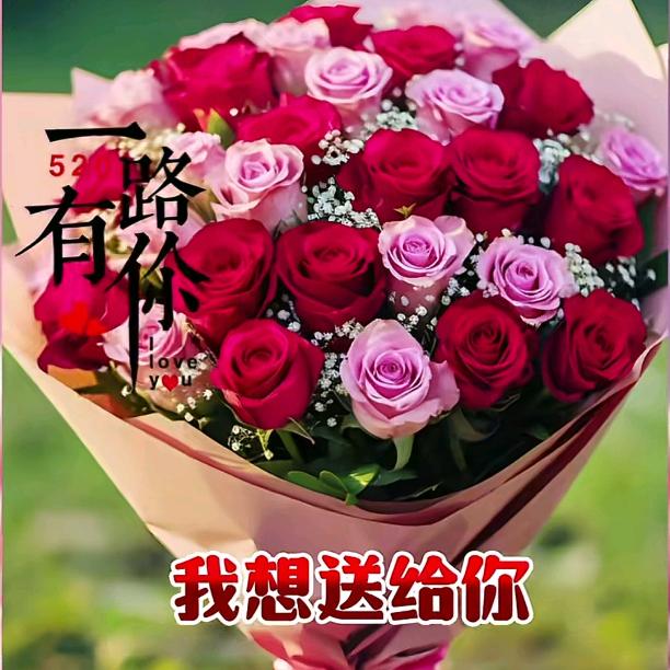 拼搏的人