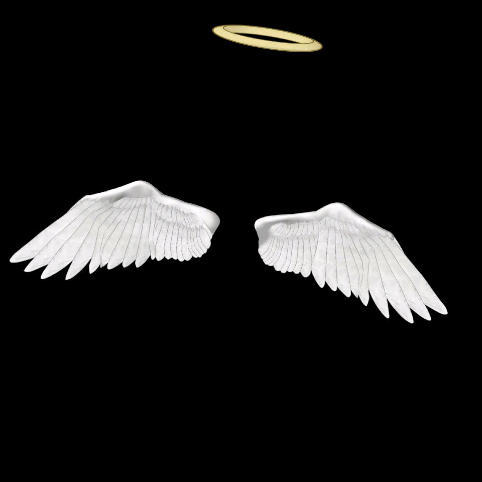 天使的翅膀👼