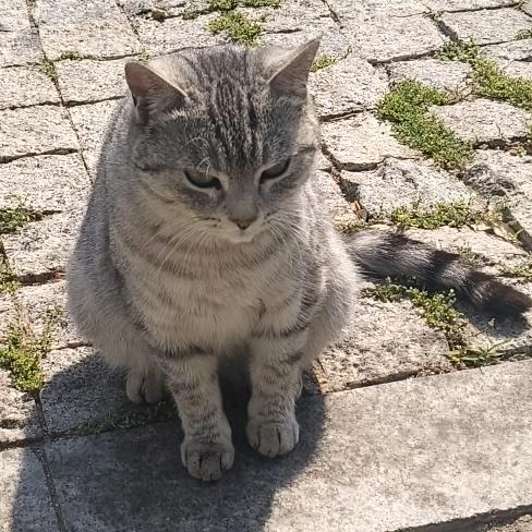 青岛佐伊民宿管理有限公司