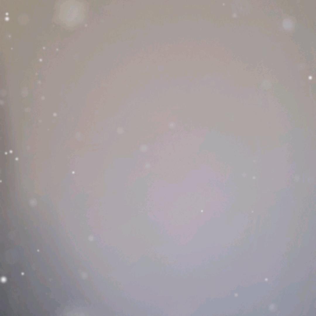 飞哥～