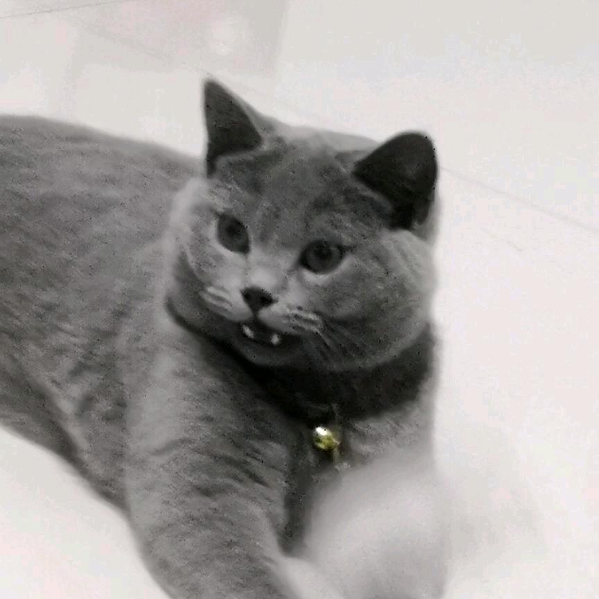 善良一生终有报