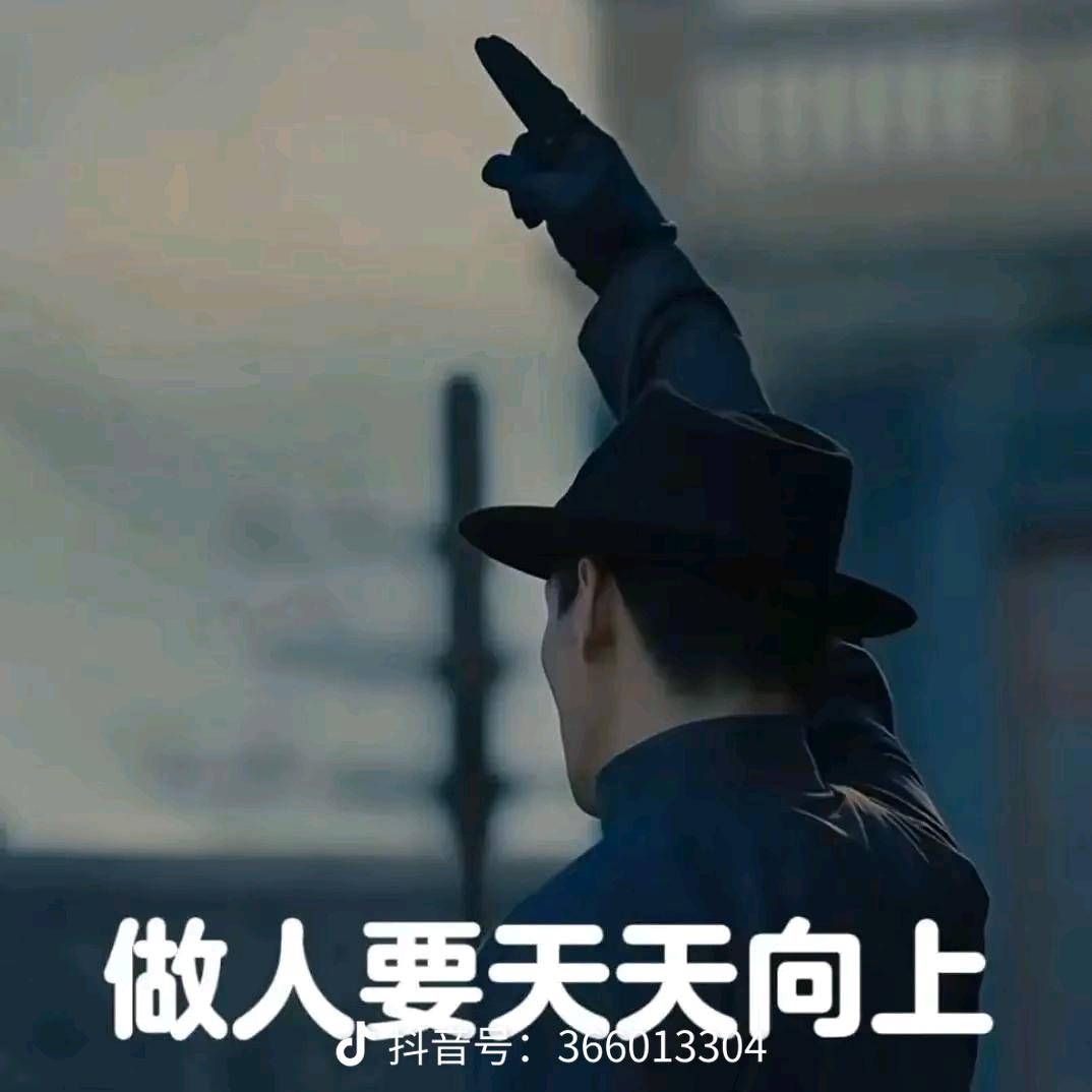 春风怜花意