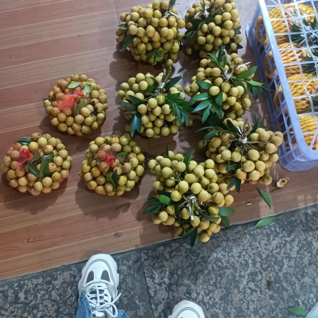 玉儿