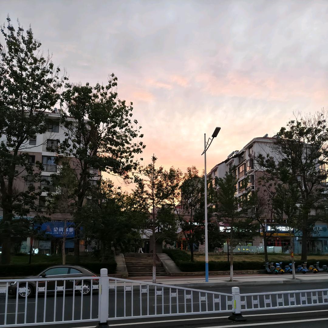 齐°