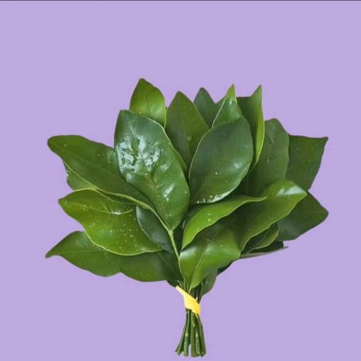 👉广购超市👈