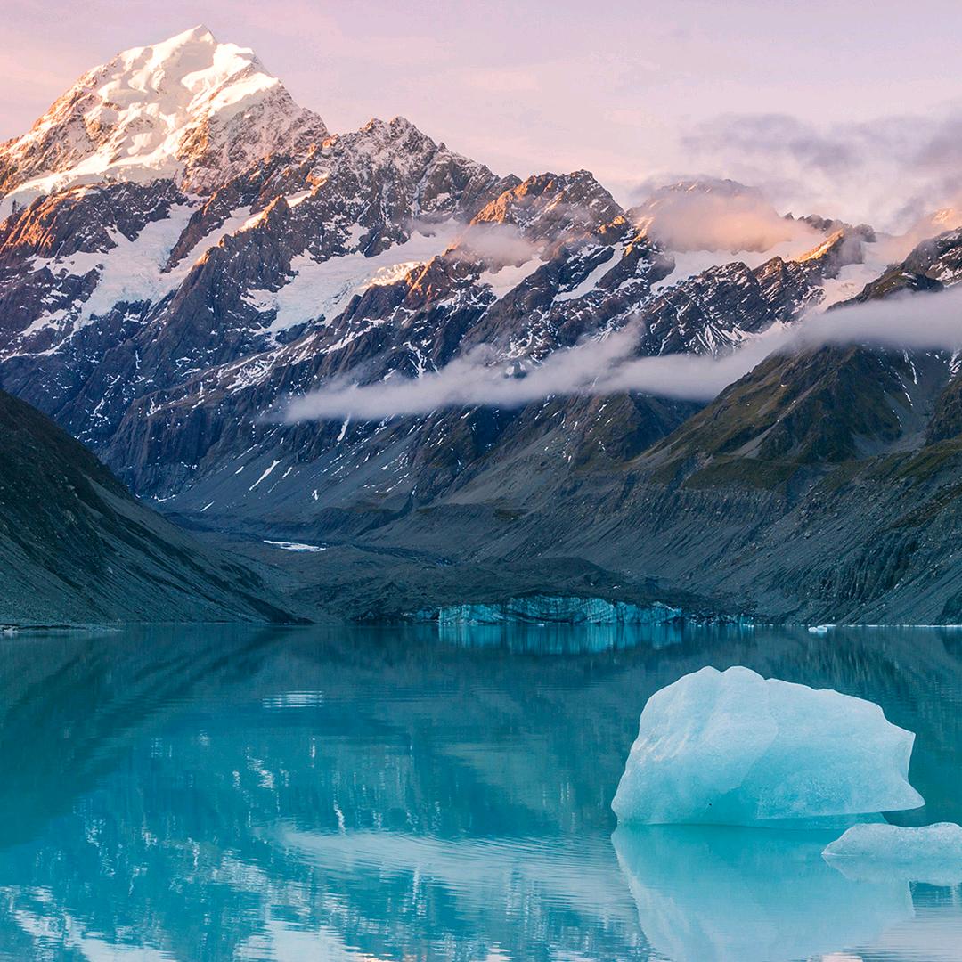 领风文化-当归主任