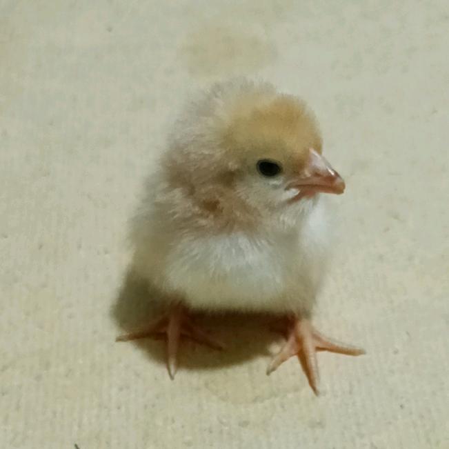 德高防水（常宁）销售