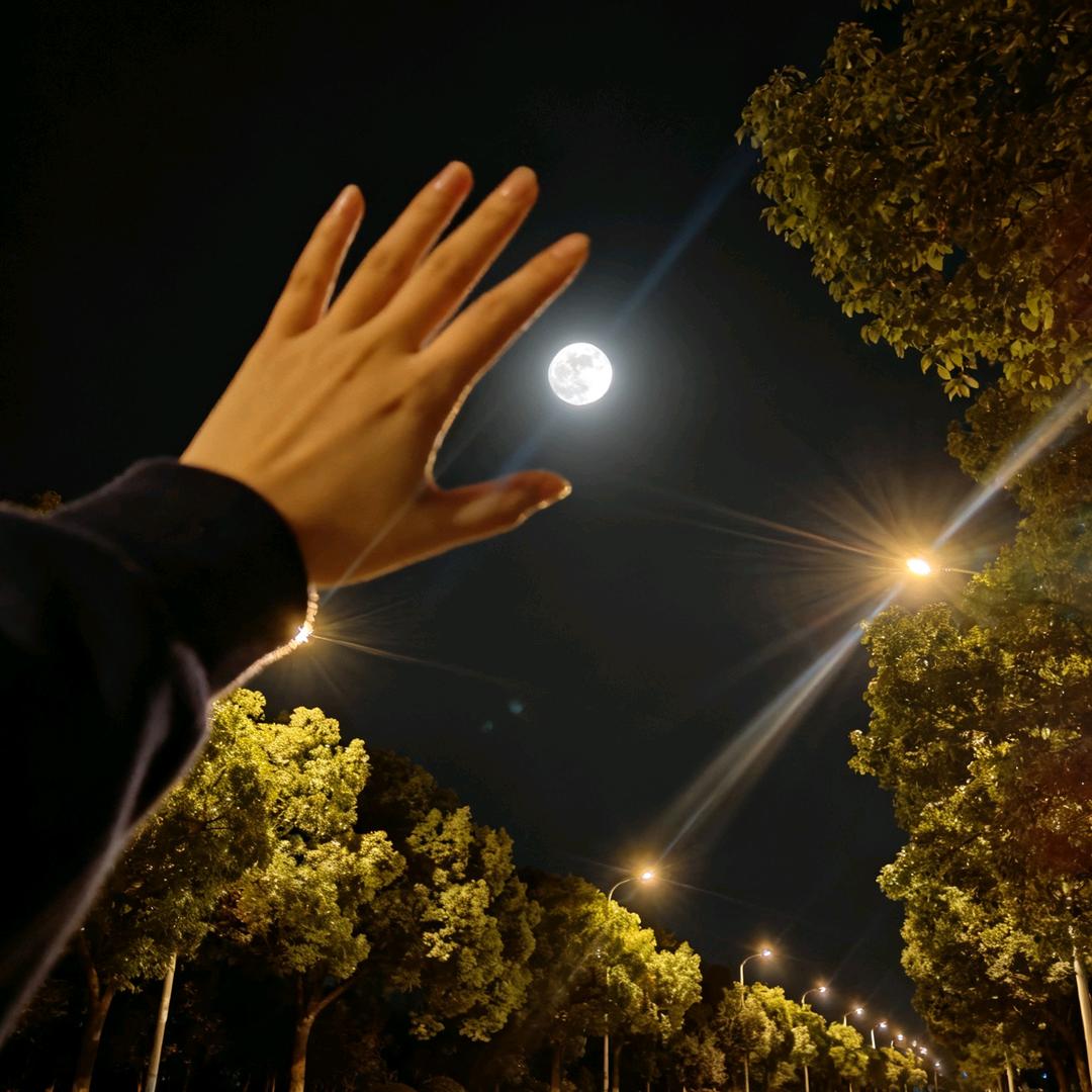 青青子衿悠悠我心