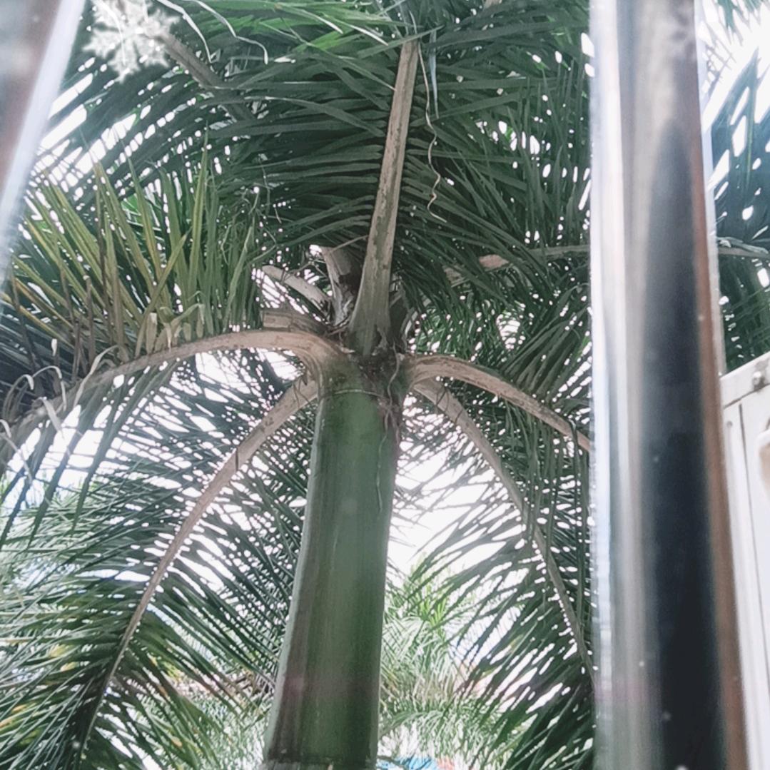 等风等雨我等你