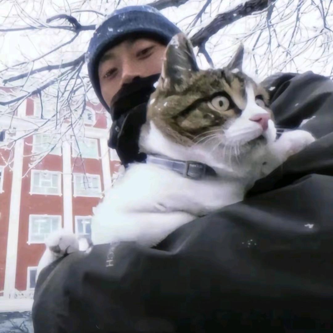 不吃压力