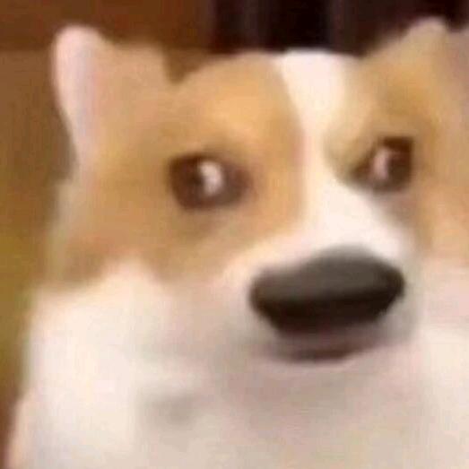 蛋炒饭（三角洲行动）