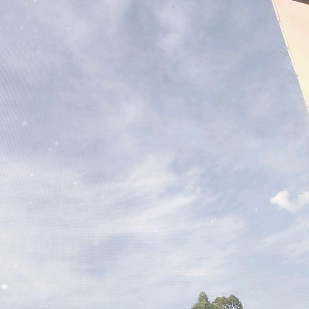 死到兜