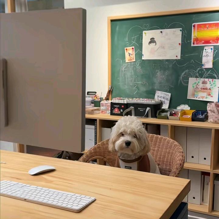 老何