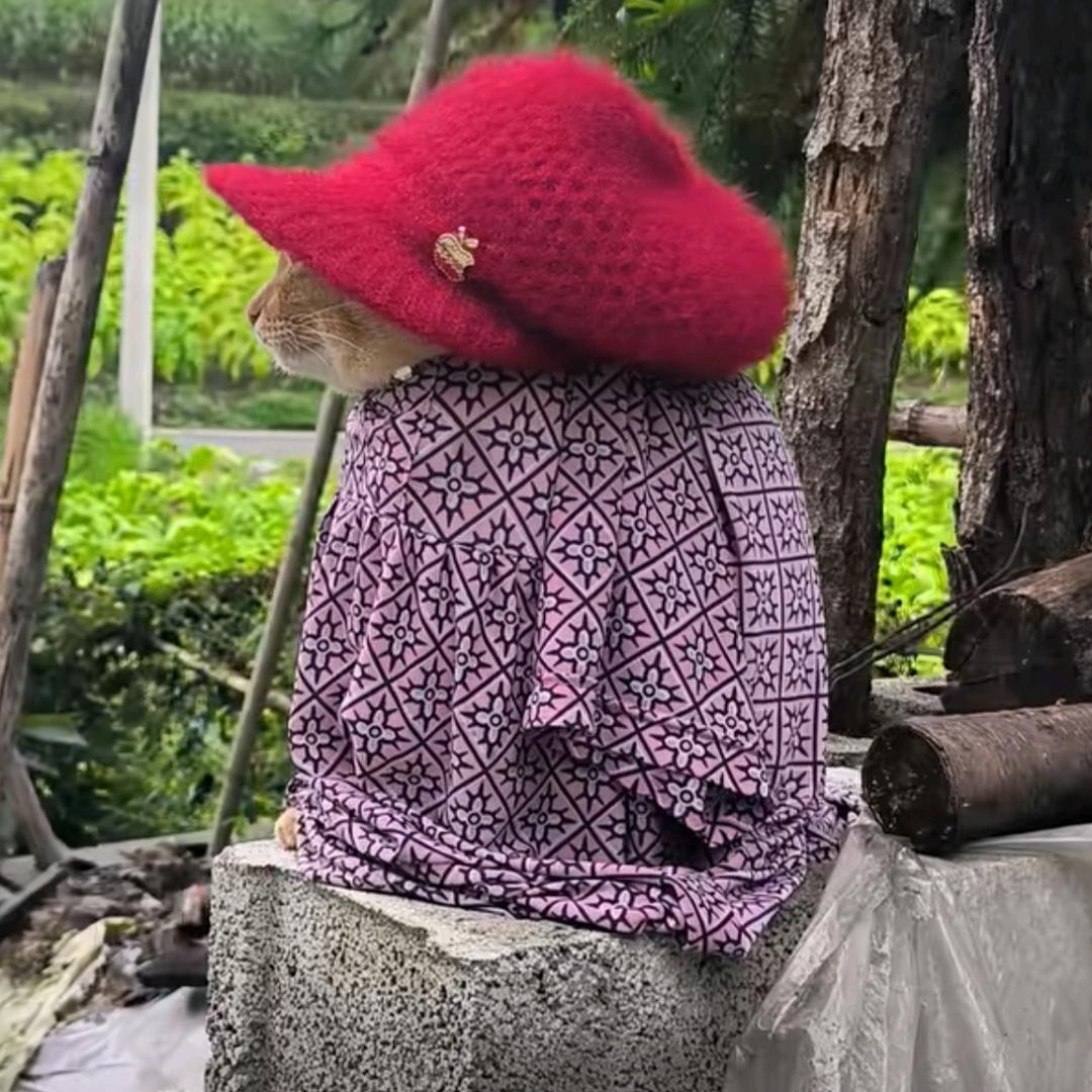 迷糊山马虎洞丢三落四大仙