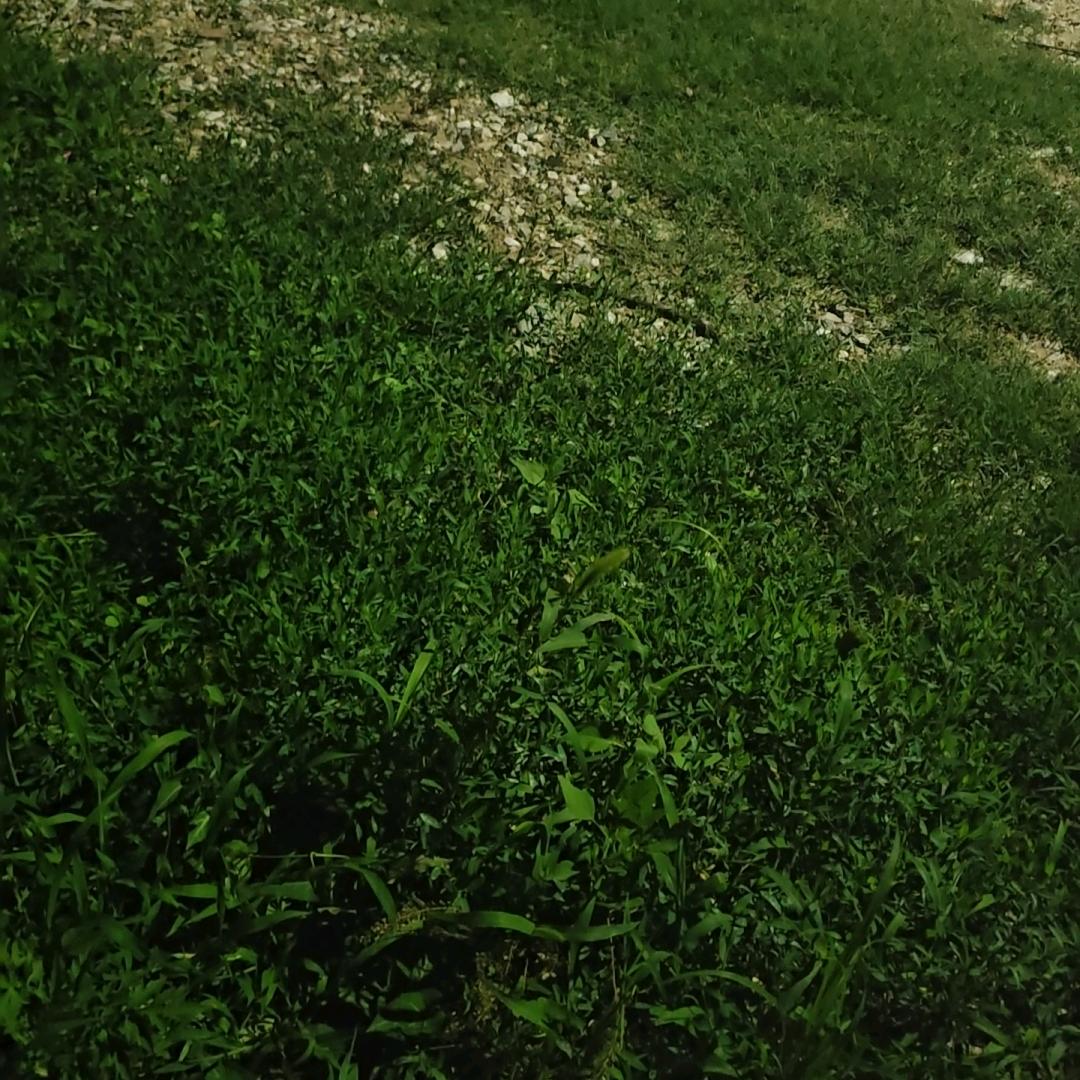 邓炅杨帆生活臻选阁