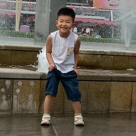 刘*