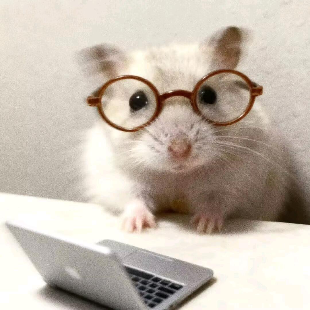 熠^头像