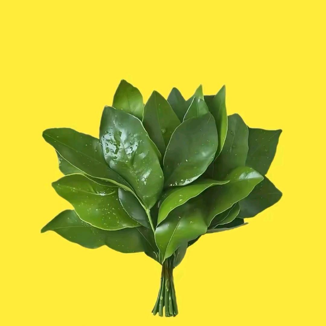 甜甜的哈密瓜大王