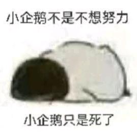 陌路繁弧终成殇