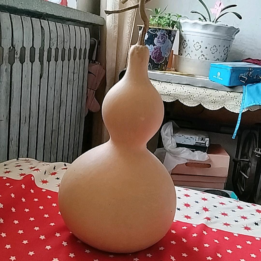 时来运转的猴