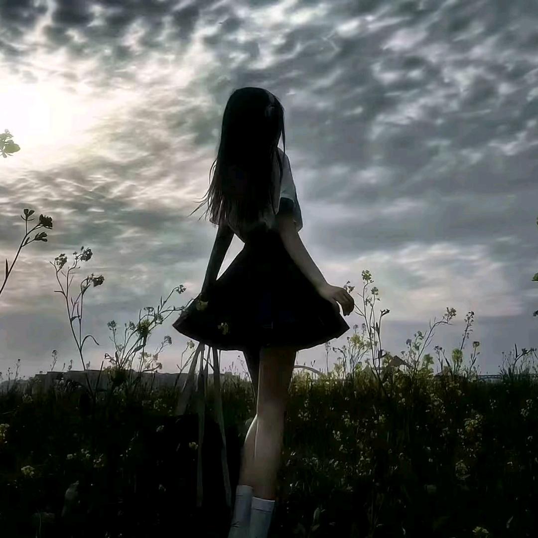 挚爱安浩