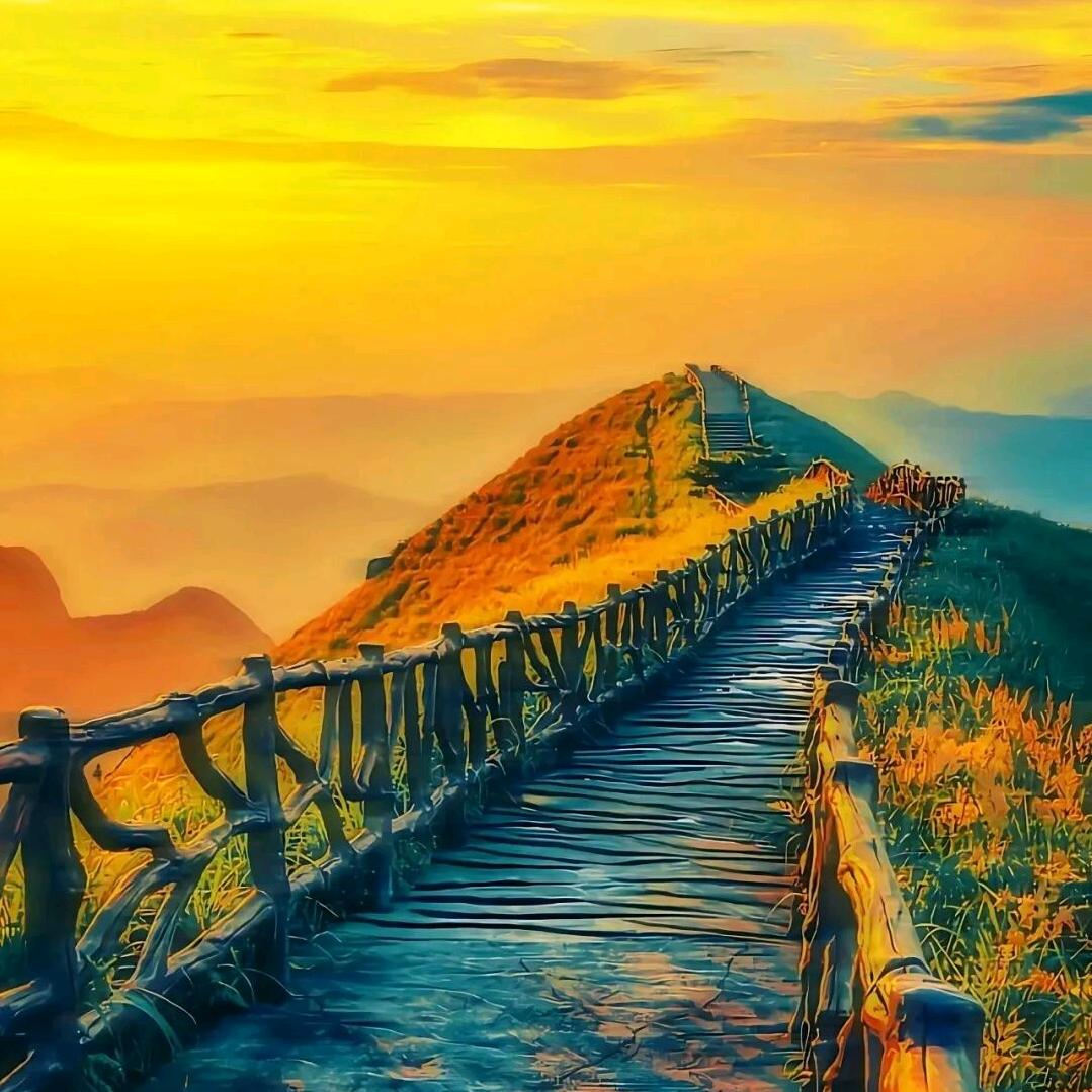 爱我家的小公主