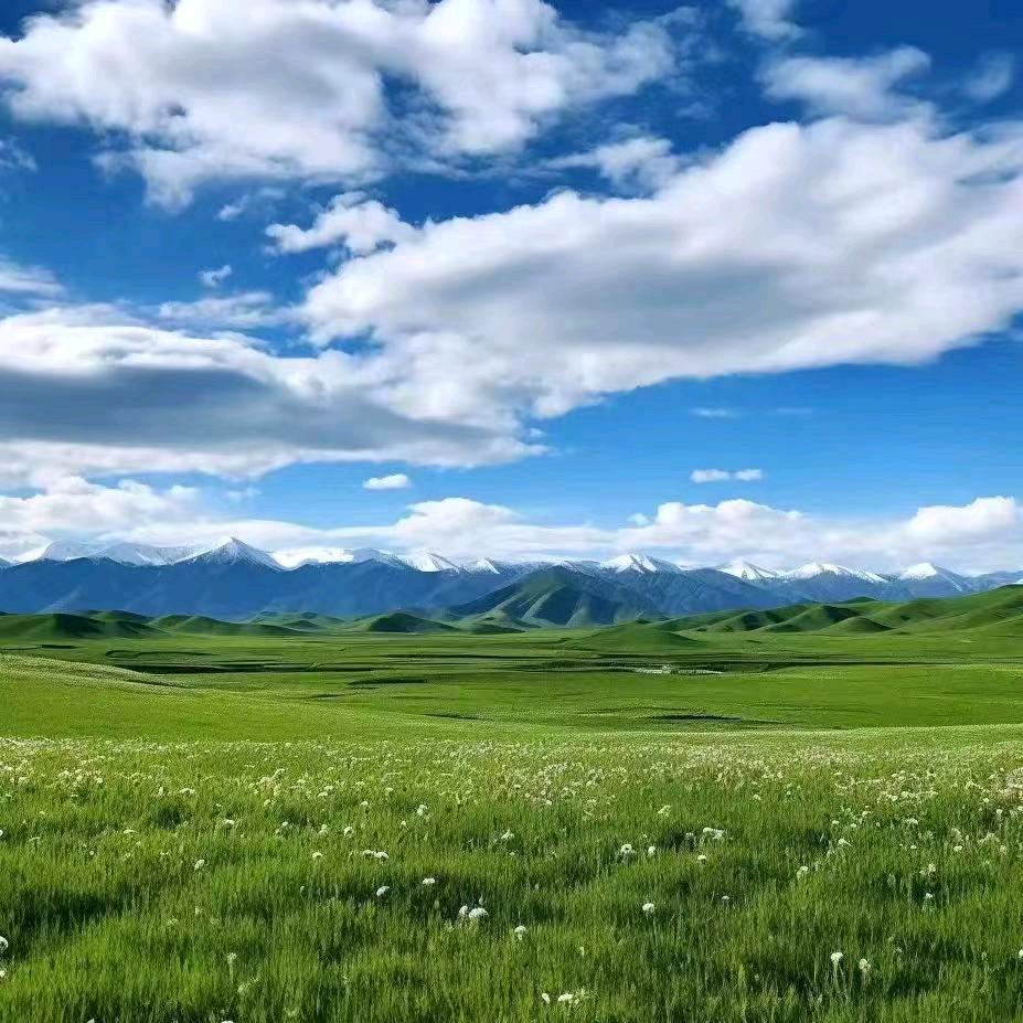 小琼琼小号