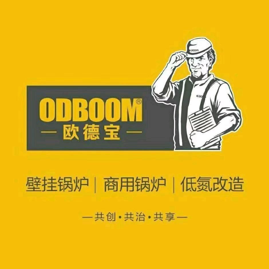 ODBOOM欧德宝壁挂炉