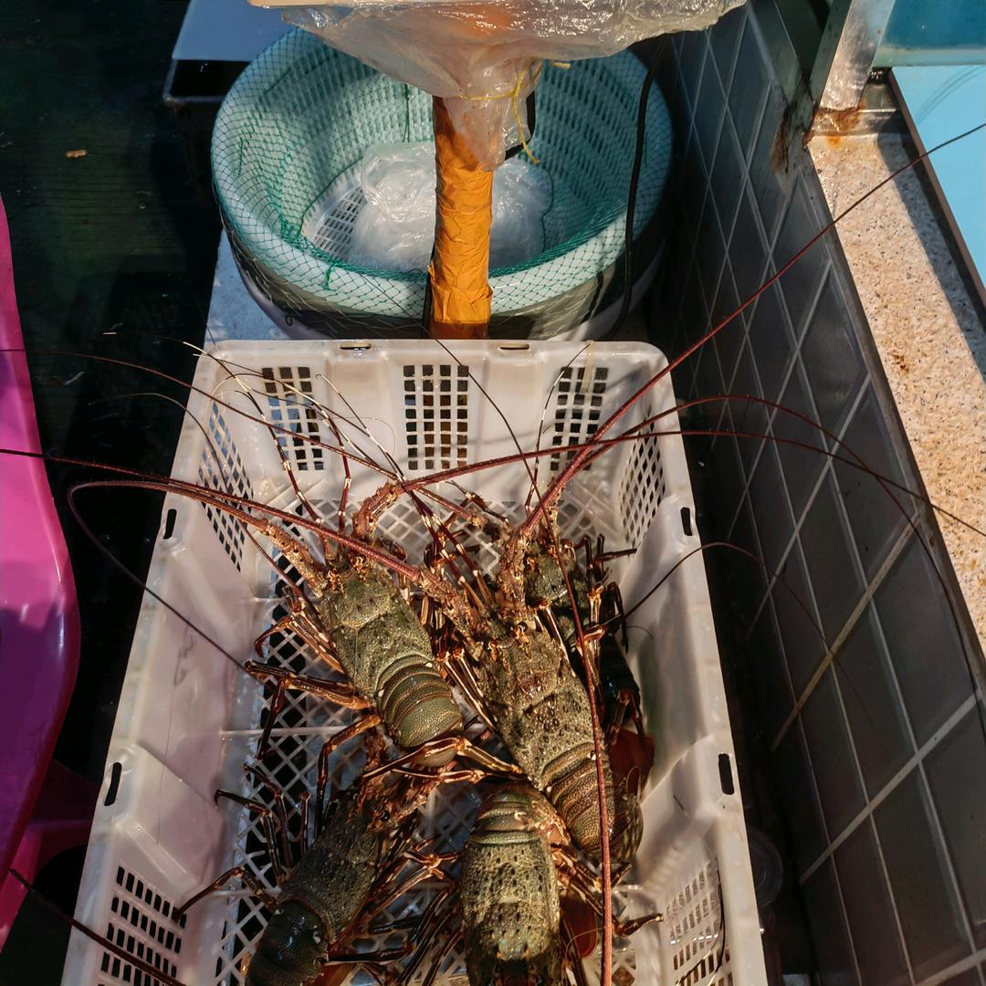 蟹蟹生鲜