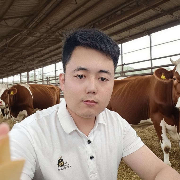 吡啶甲酸铬（大锭王）厂家直销