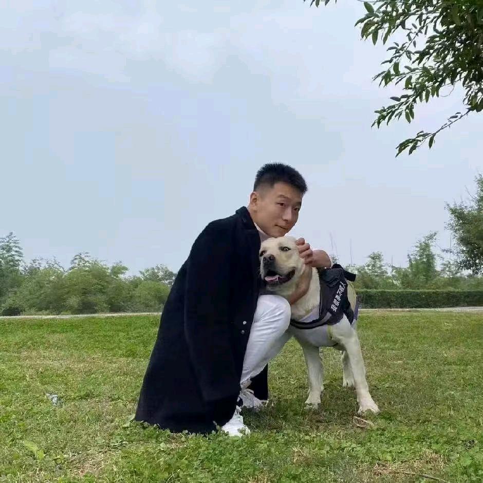 贫道归隐深山