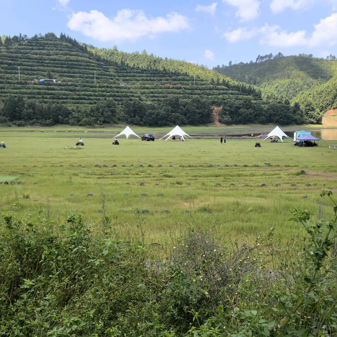 小陈小陈满目星辰