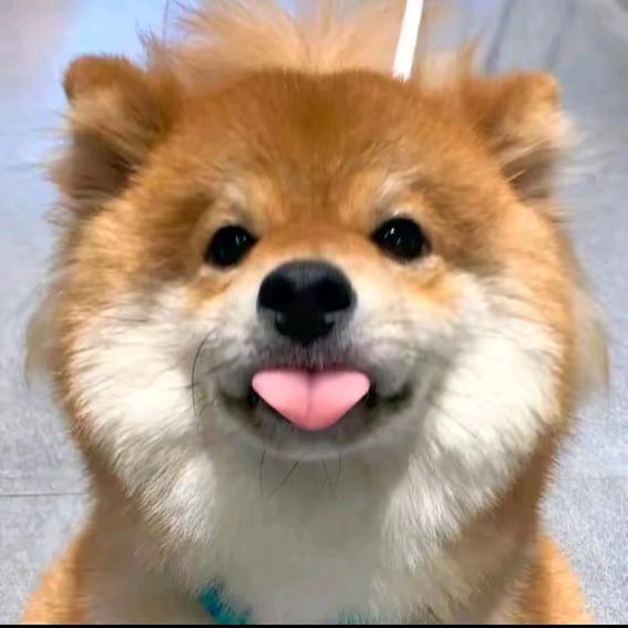 花 花