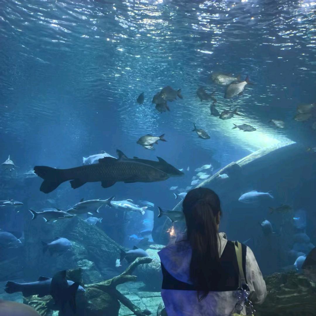 做一个开心的👧🏻