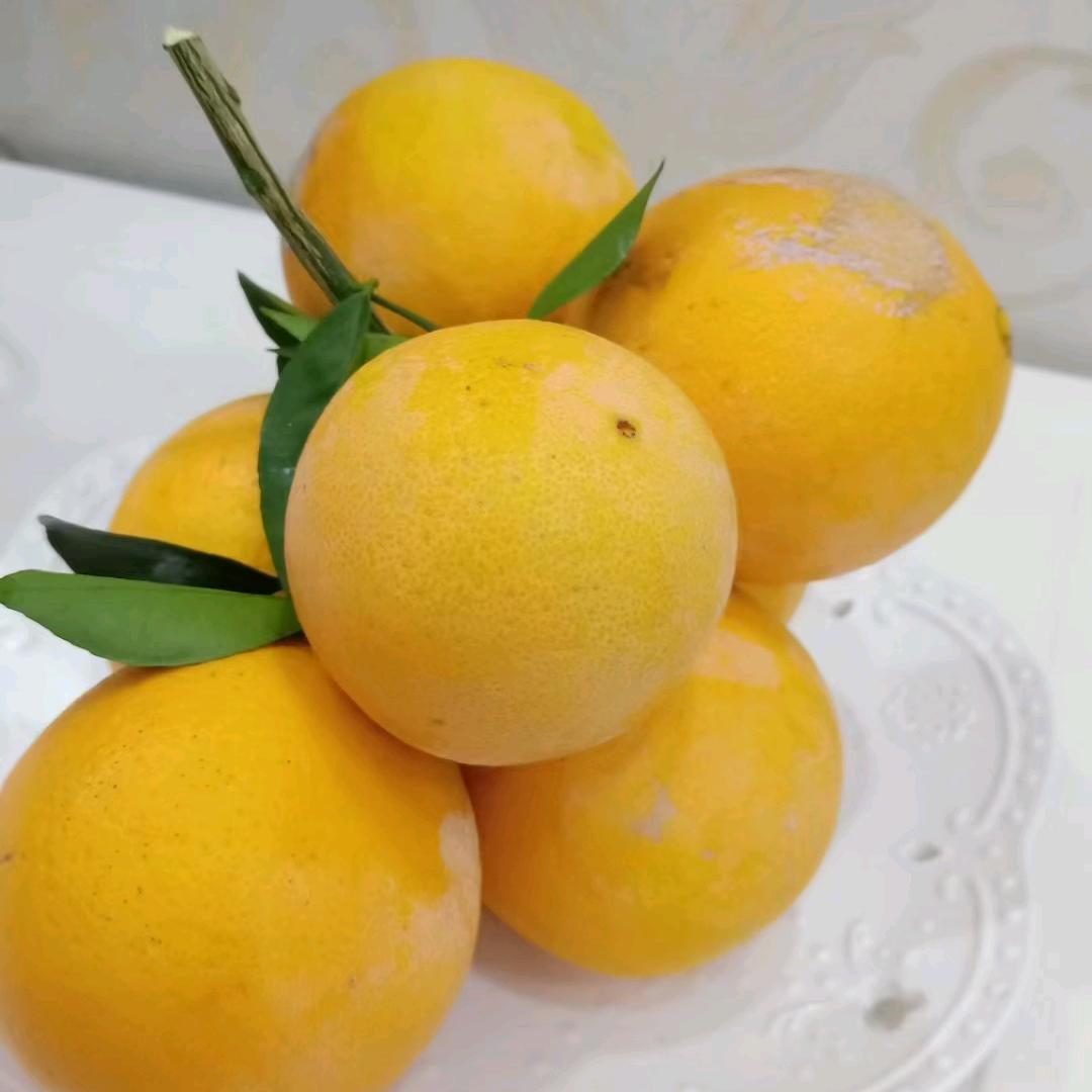 林子
