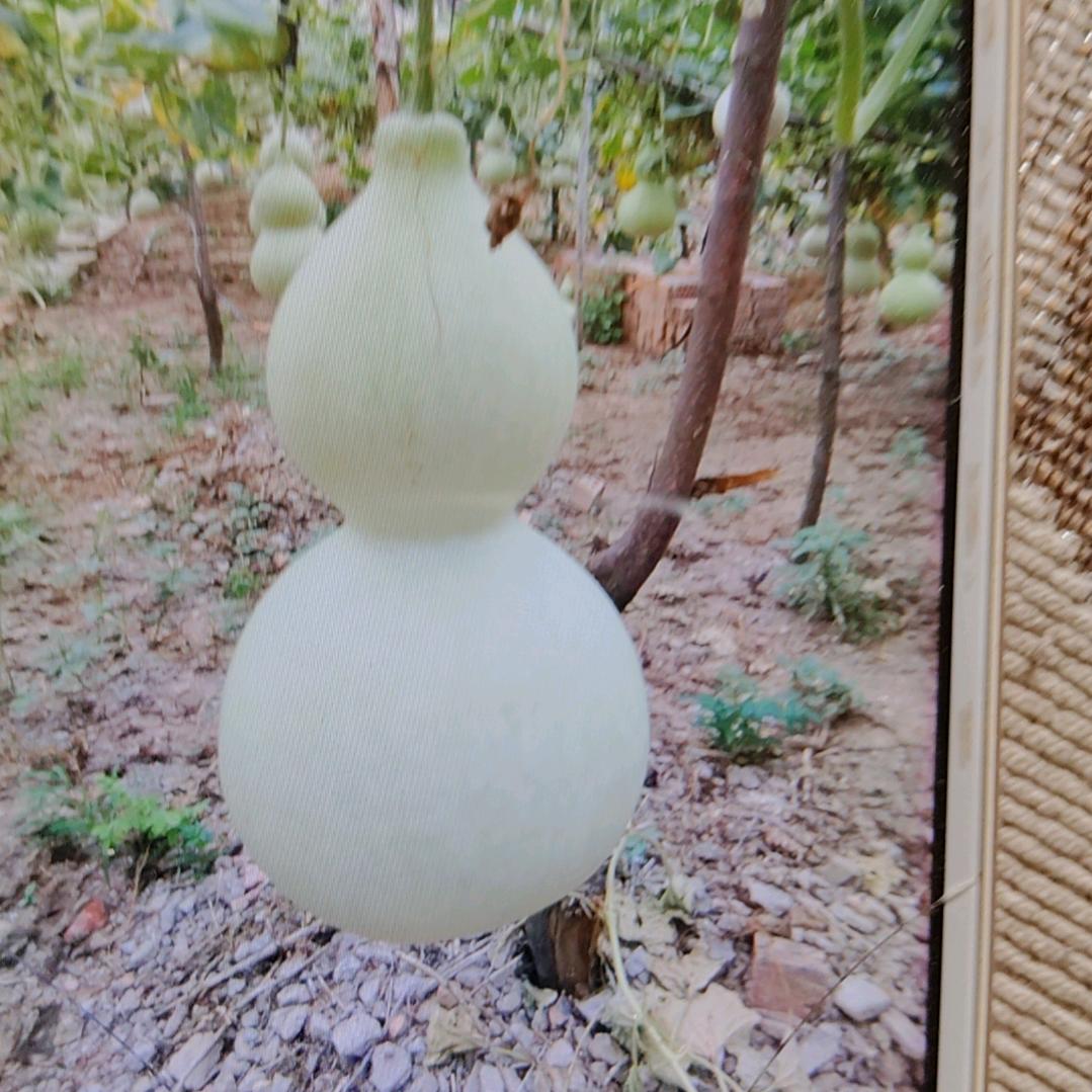 靠我