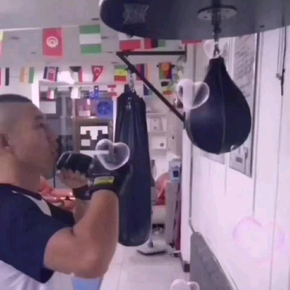 综合格斗宝哥
