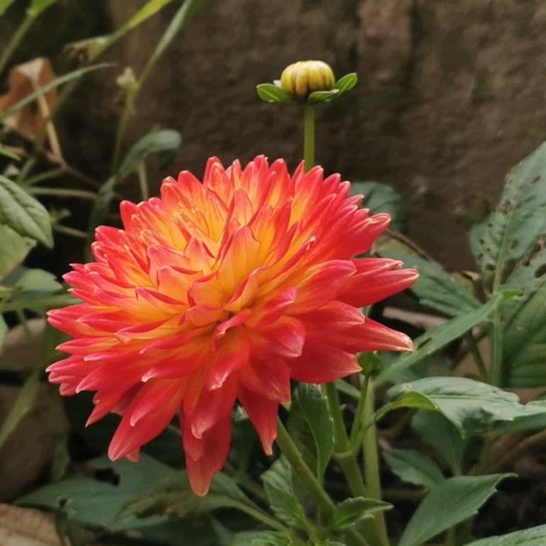 满天星辰🫶就是你