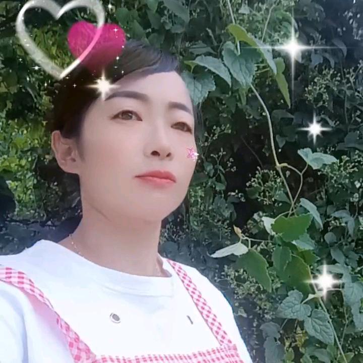 🌹爱你一辈子🌹陶