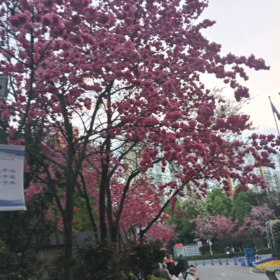 合作共赢，诚信为本，以质量生存，排烟空调