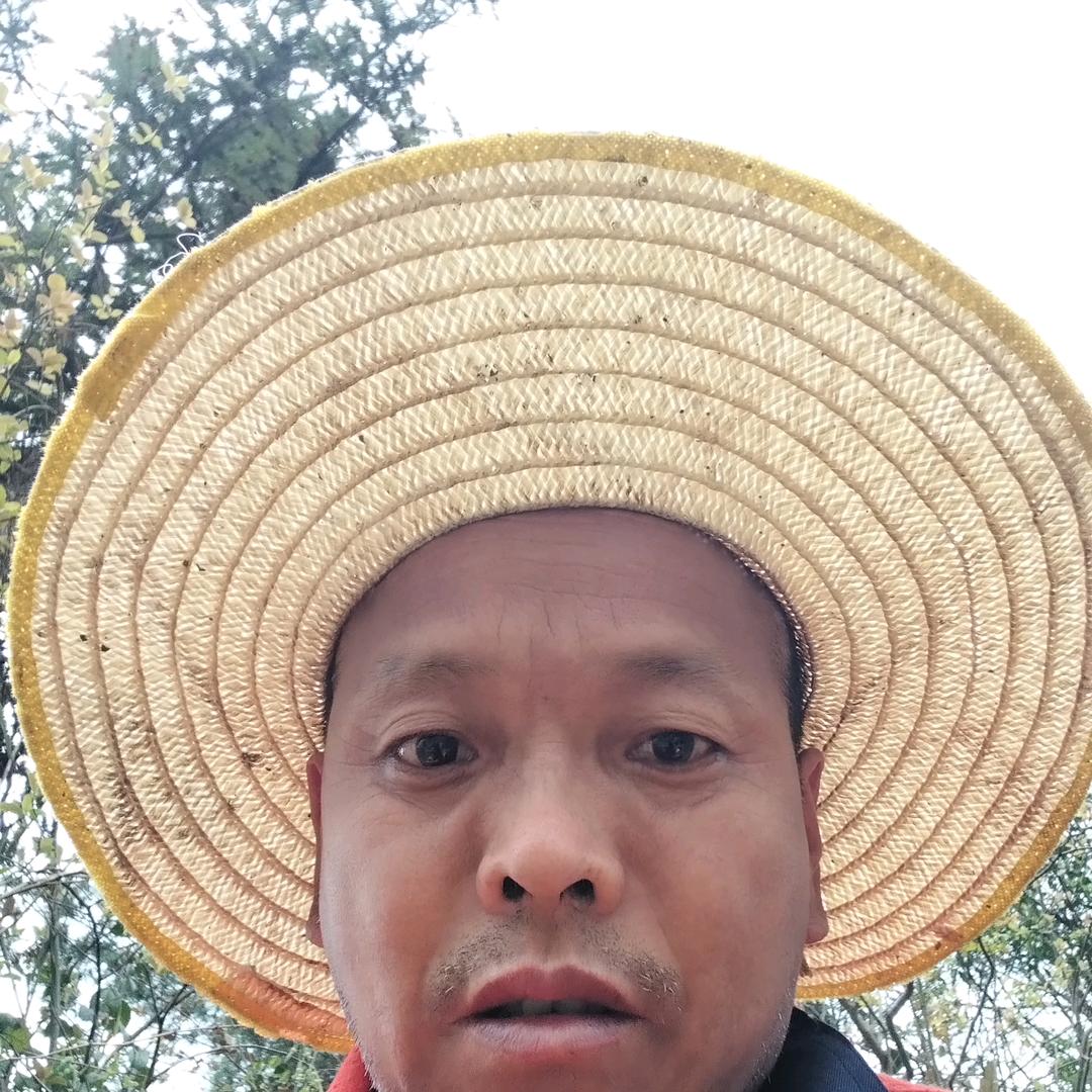 情定缘分