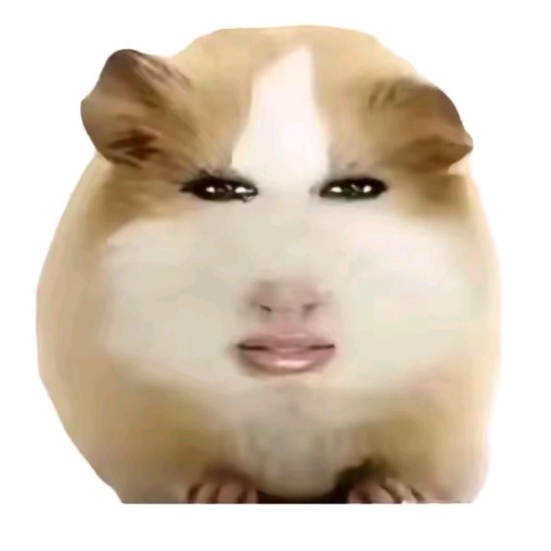 在冰冷森林中我已孤独穿行太久