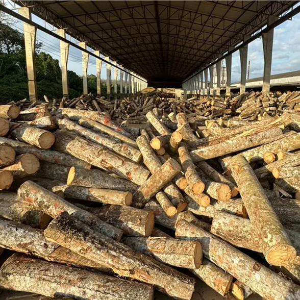 佛山进口泰国橡胶木板材