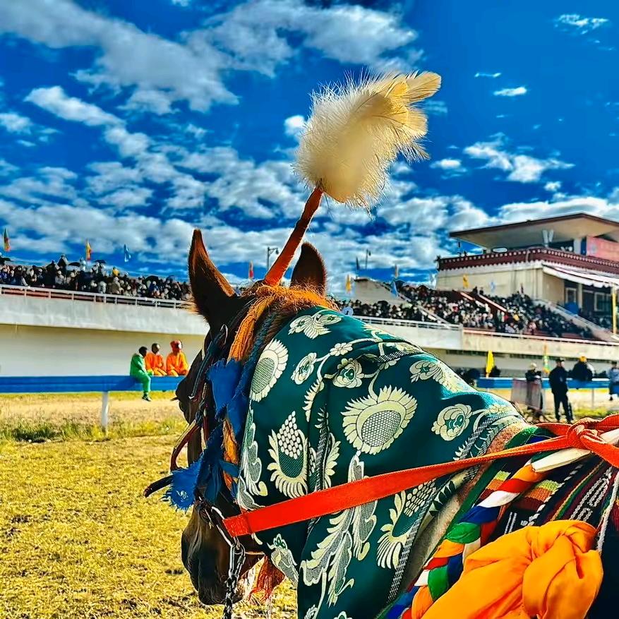 འབྲོགྈ་རྟ་རྫི ༎