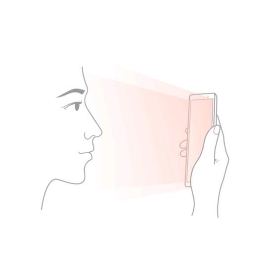 空心菜